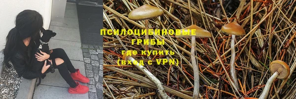 СК Алзамай