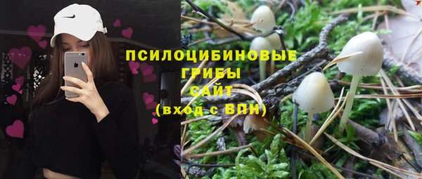 эйфоретик Алексеевка