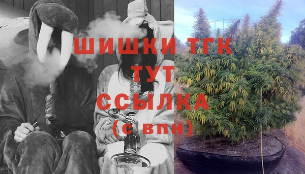 СК Алзамай